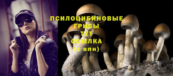 каннабис Алексеевка