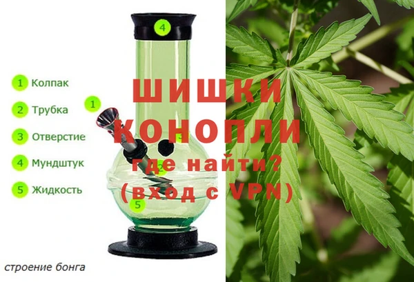 каннабис Алексеевка