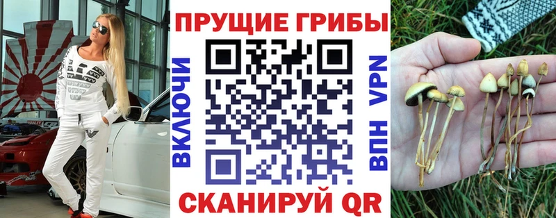 Галлюциногенные грибы MAGIC MUSHROOMS  площадка наркотические препараты  Катав-Ивановск 